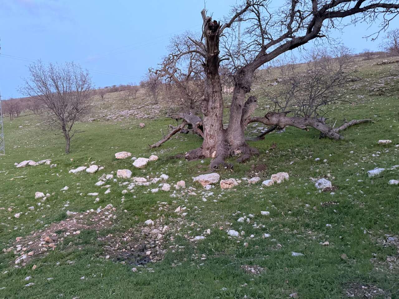 Gülistan Doku soruşturmasında 40 kilometrelik alanda mezar aranıyor 1